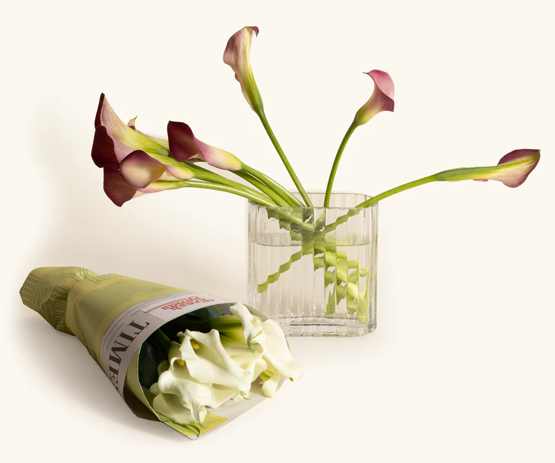 Calla Lilies - Image 3