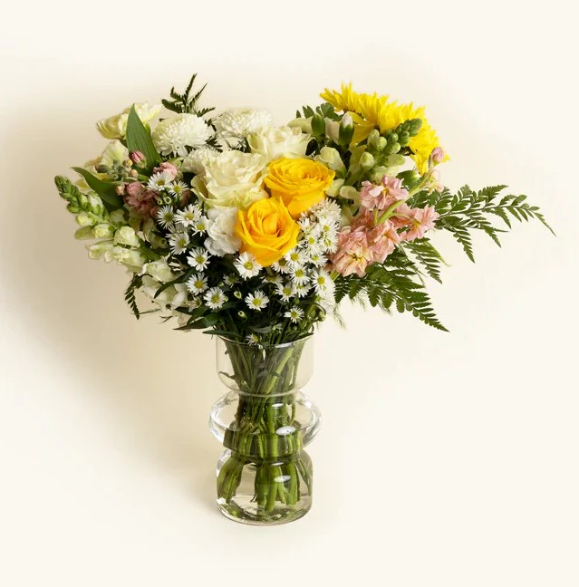 Cocokind Send - Image 2