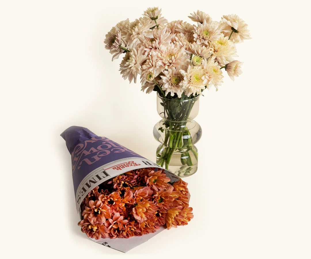 Daisies - Image 3