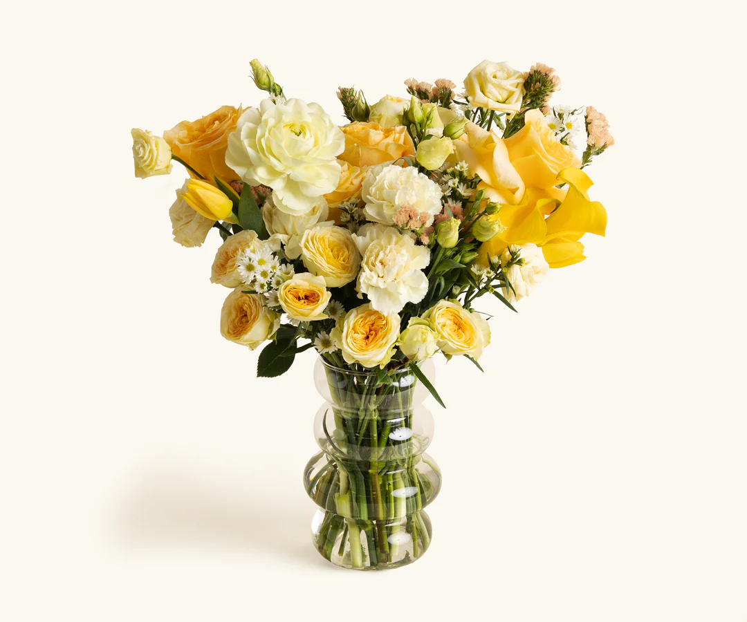 The Send - Image 3